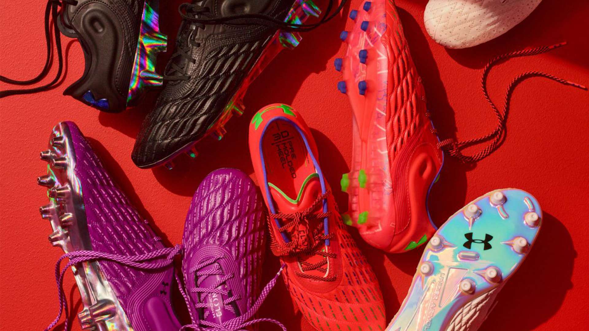 态为球迷奉 态为球迷奉