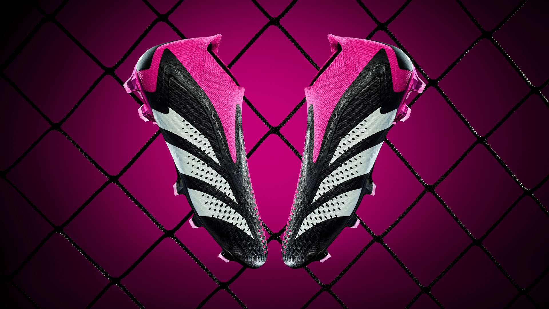 这种承诺往 这种承诺往