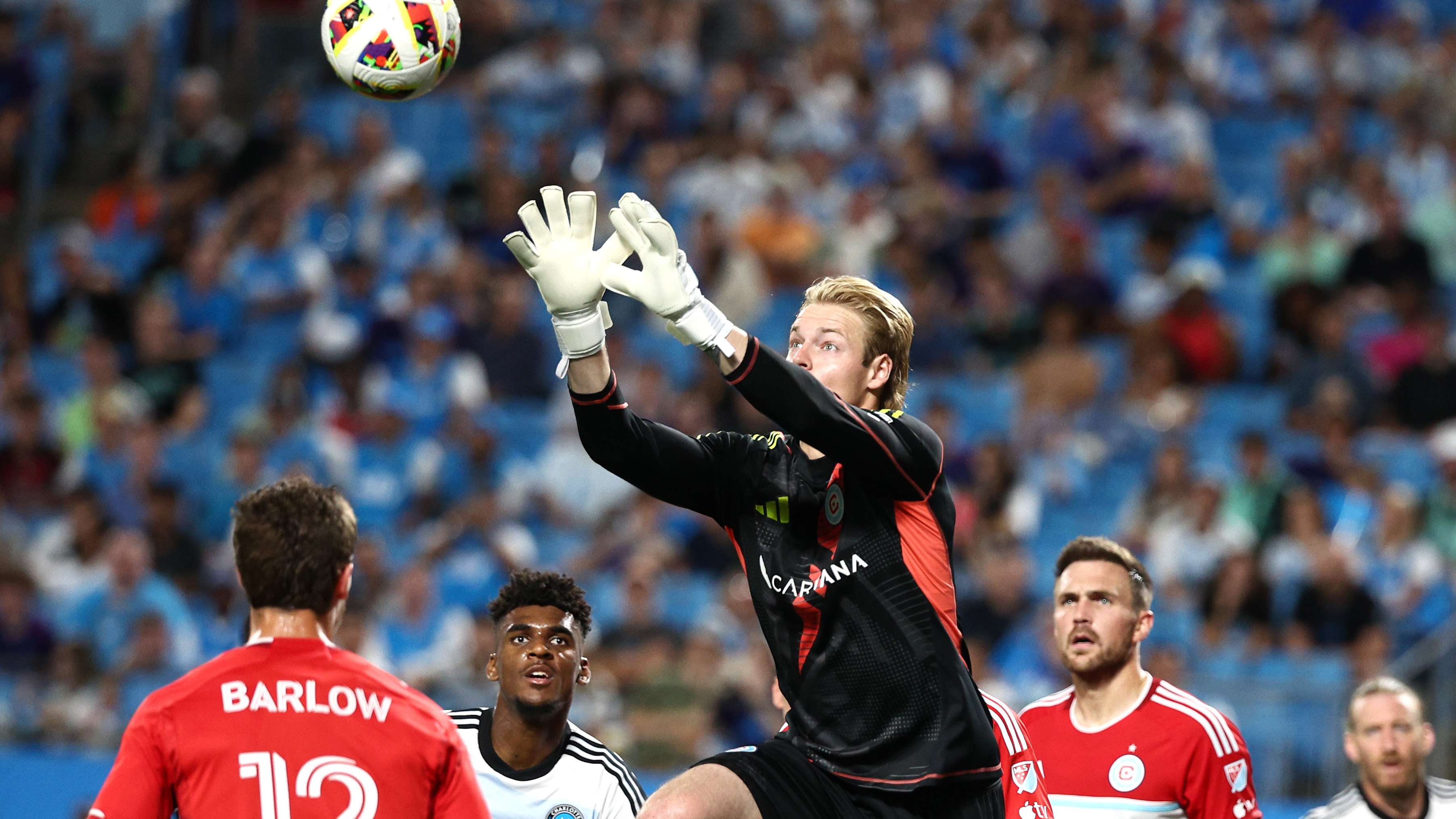 赛中的一匹 赛中的一匹